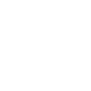 Cooper Rifles